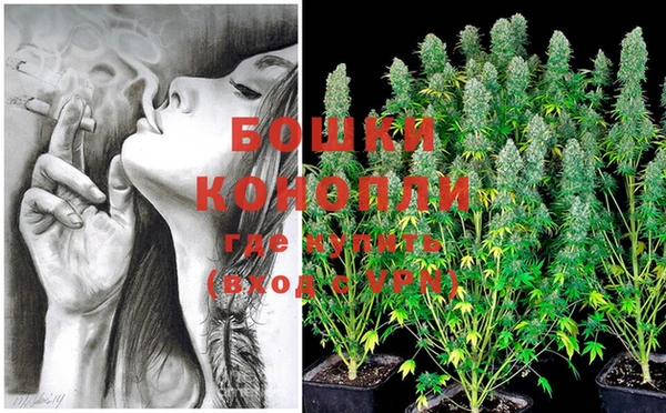 гидропоника Нея