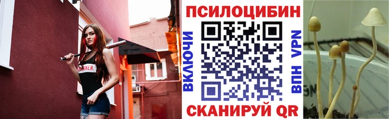 Псилоцибиновые грибы мицелий  Ессентукская 